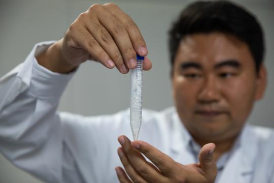 Chinese scientists create starch from scratch