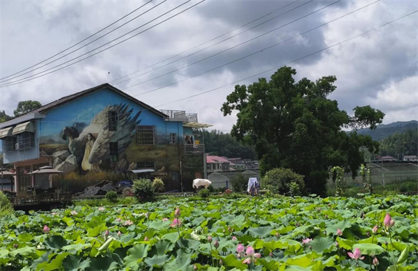 农民成画师 长沙乌石村绘出乡村振兴“新画卷”