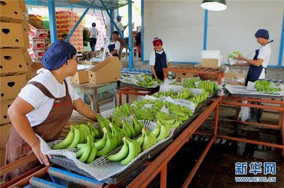特朗普宣布向菲律宾等国加征“对等关税”
