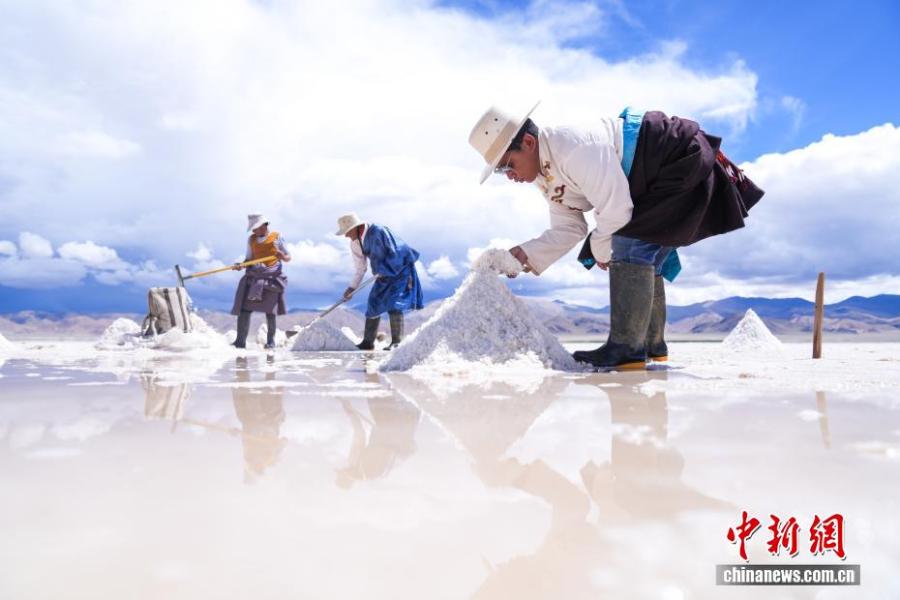 Ancient Salt Sheep Road rejuvenates in modern Xizang