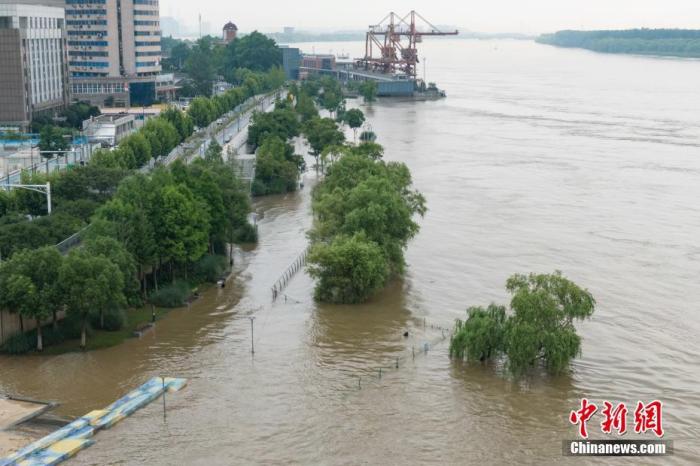 太湖发生2025年第1号洪水