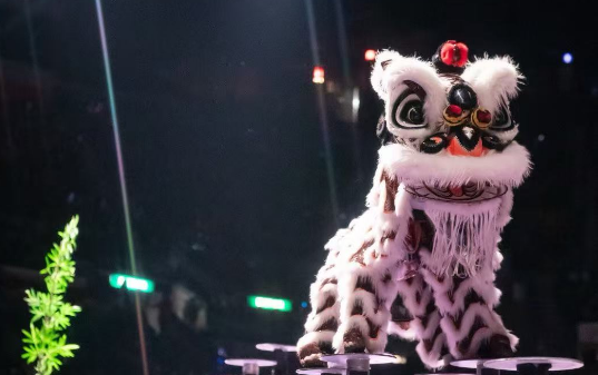 第十六屆世界龍獅爭霸戰本月香港隆重开战