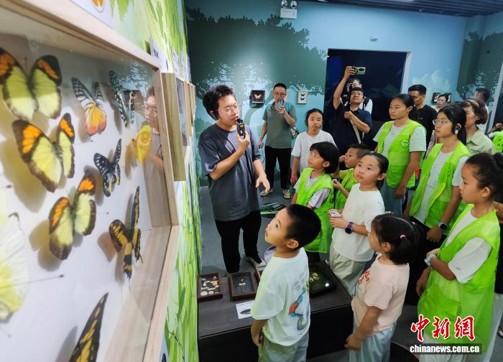 Chinese scenic spots taps night tours to boost summer consumption