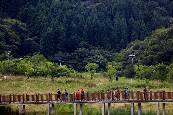 四川利州：因地制宜做深农旅融合_走出乡村振兴新路径