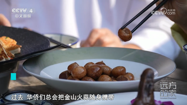 央视《远方的家》走进江门：山海寄乡愁，侨都焕新生